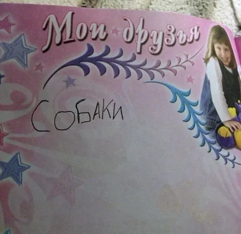 Мои друзья — собаки