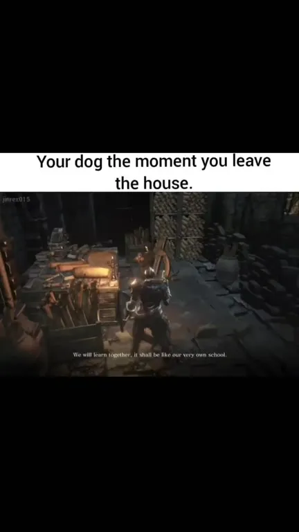 Your Dog the Moment You Leave