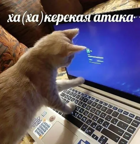 ха (ха) керекская атака