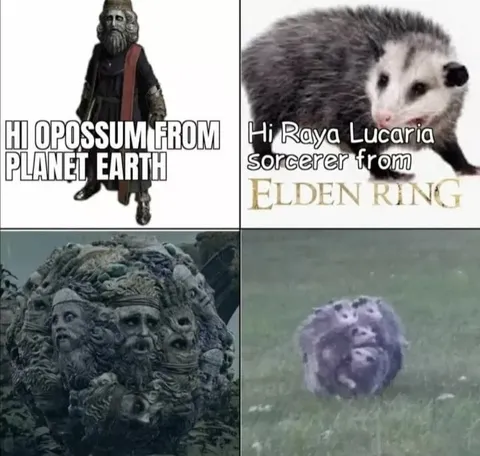 Opossum Meets Elden Ring Sorcerer
