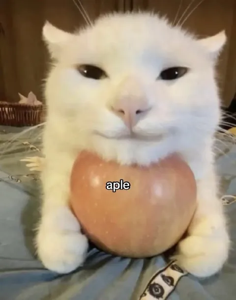 Cat Holding an Aple