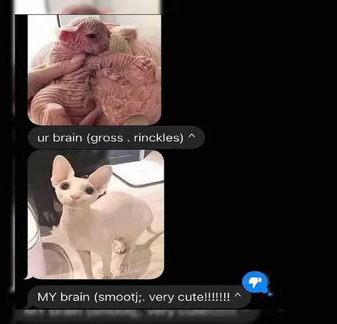 Gross Brain Versus Cute Brain