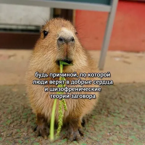 Капибара и теории заговора