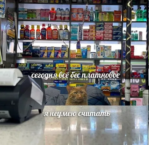 Сегодня всё бесплатно