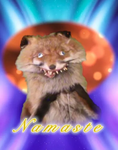 Creepy Cat Says Namaste