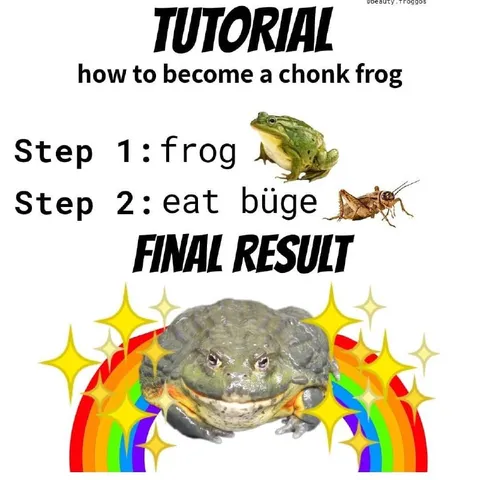 How to Become a Chonk Frog