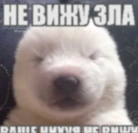 Не вижу зла, вообще муху не вижу