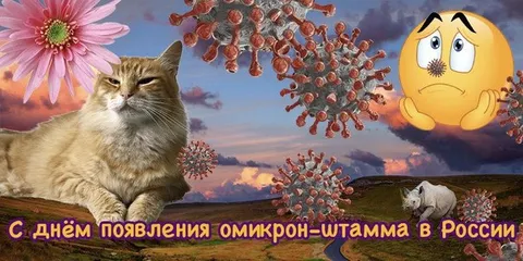 С днём появления омикрон-штамма