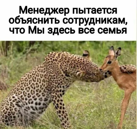 Менеджер объясняет семейную атмосферу