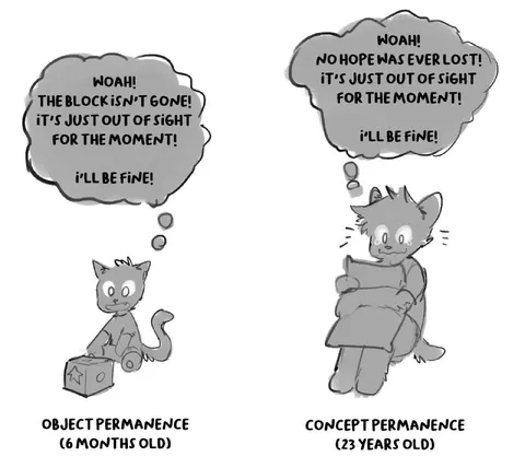 Object vs Concept Permanence