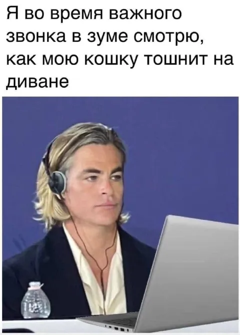 Кошку тошнит во время звонка