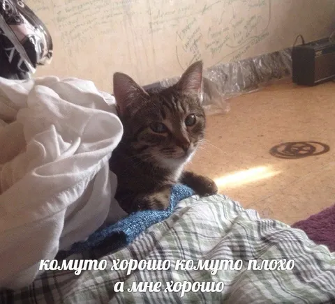 А мне хорошо