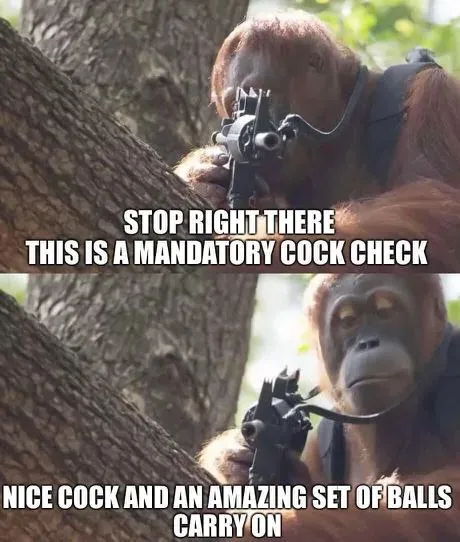 Mandatory Cock Check Orangutan