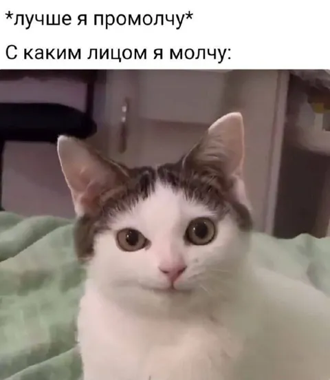 С каким лицом я молчу