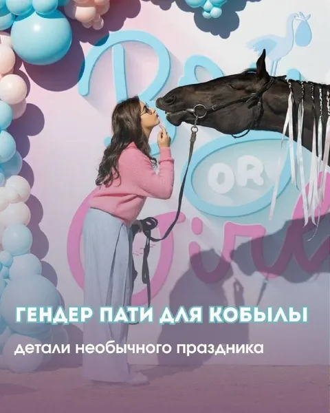 Гендер пати для кобылы