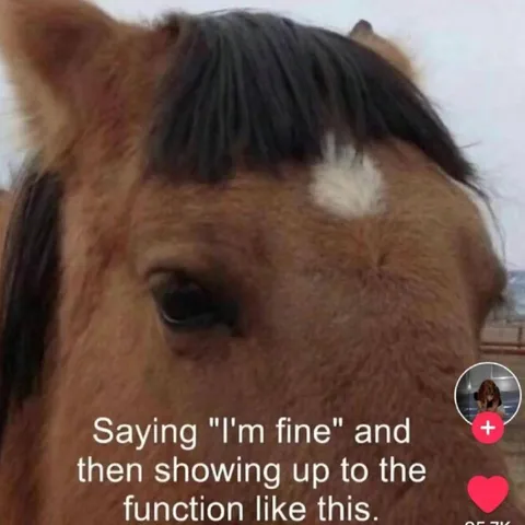 Horse Shows Up Looking Fine