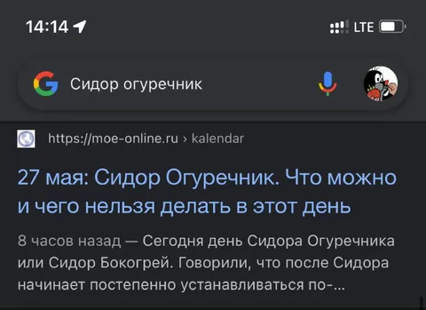 Сидор Огуречник в поиске