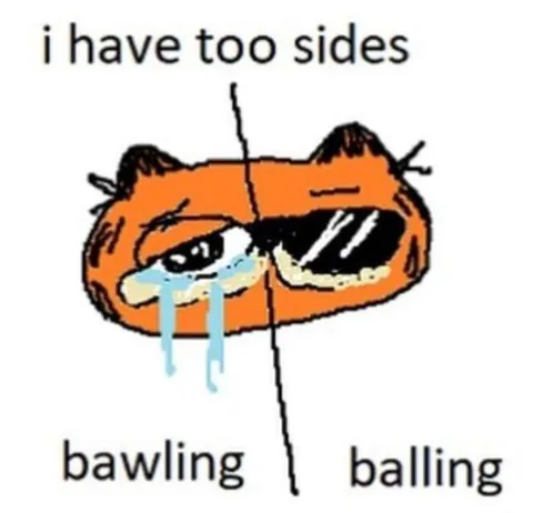 I Have Two Sides Cat
