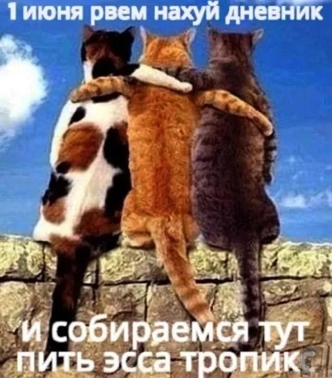 Кошки рвут дневник