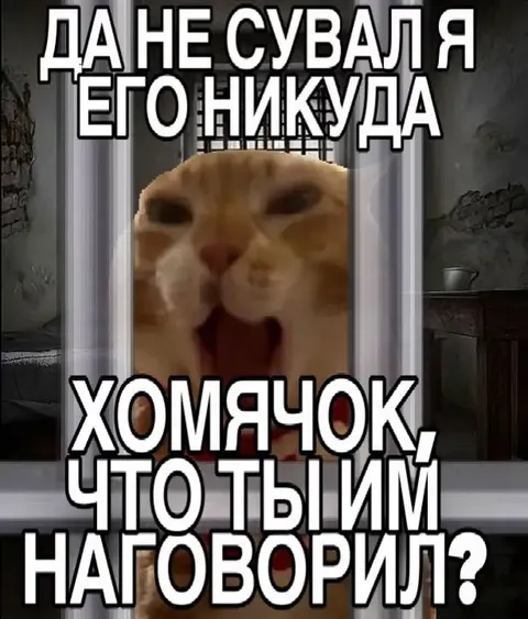 Хомячок всё наговорил