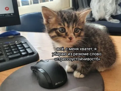 Убираю стрессоустойчивость из резюме