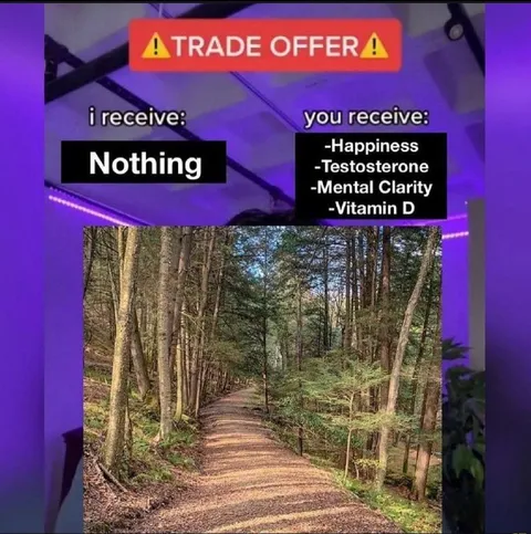 Trade Offer: Nothing for Everything