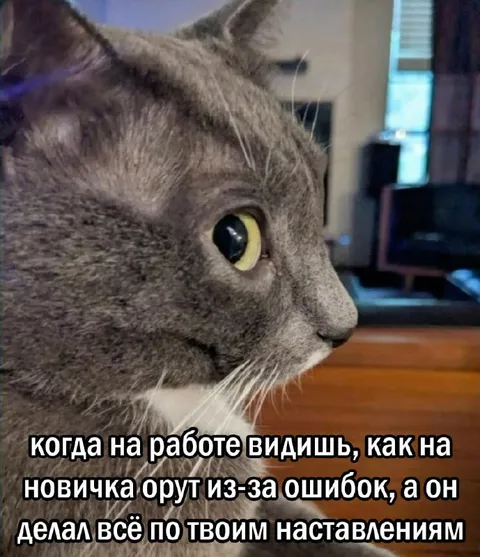 Когда ругают новичка за ошибки