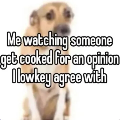 Watching Someone Get Cooked