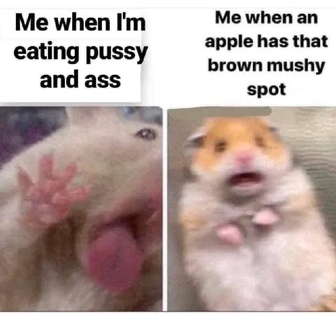 Hamster Hates Brown Apple Spots