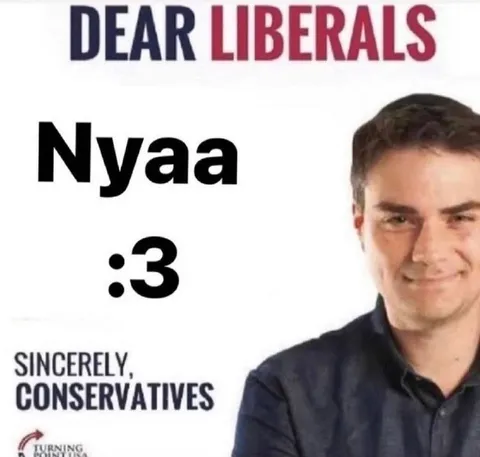 Dear Liberals Nyaa :3