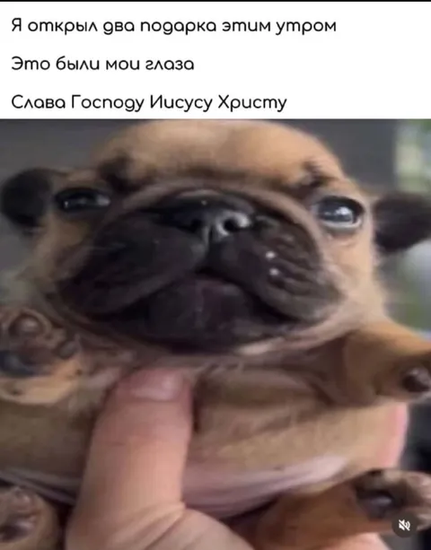 Открыл два подарка утром