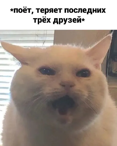 Кот поёт и теряет друзей
