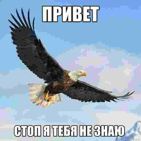 Привет, стоп я тебя не знал