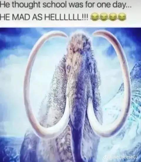 Mammoth Mad About School