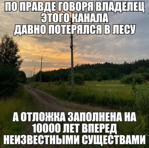 Владелец канала потерялся в лесу