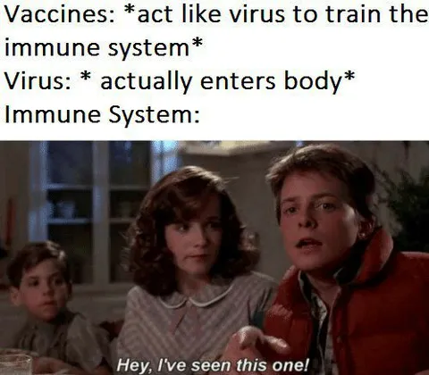 Immune System Has Seen This Before