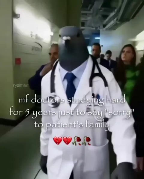 Doctor Pigeon Says Sorry