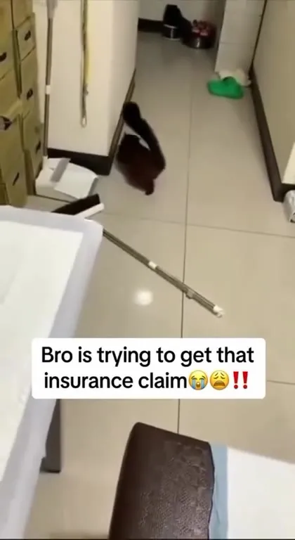Squirrel Fakes an Insurance Claim