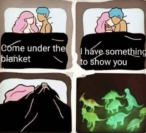 Something Under the Blanket