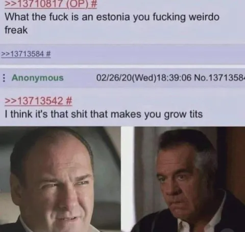 What the Fuck Is an Estonia