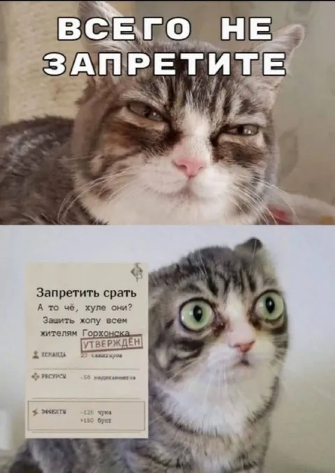 Всего не запретите