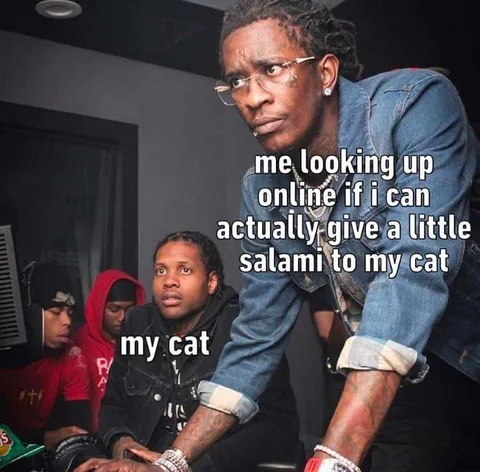 Cat Salami Legal Research