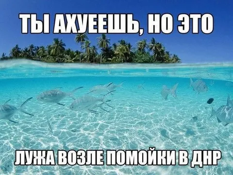 Лужа возле помойки в ДНР