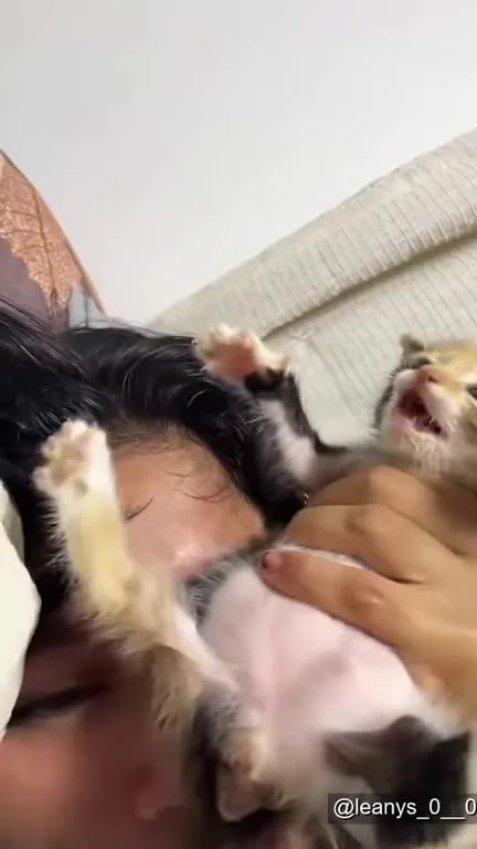 Плачущий парень и котёнок