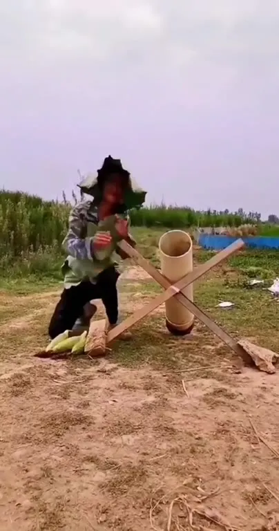 Обезьяна идёт в школу
