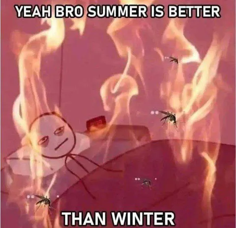 Summer Is Better Than Winter