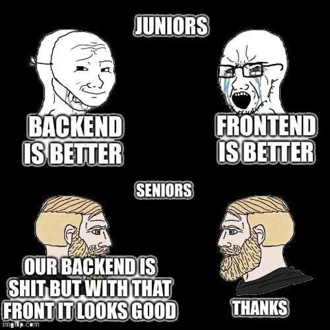 Junior and Senior Developers