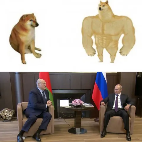 Дож против мускулистого дожа