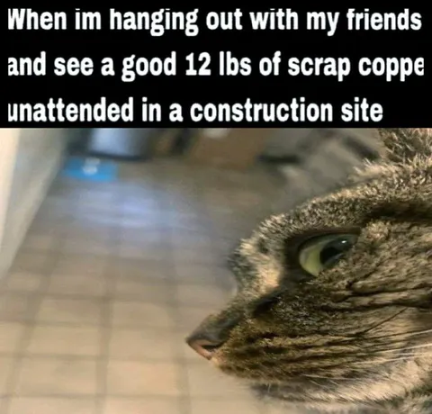 Cat Spots Unattended Scrap Copper
