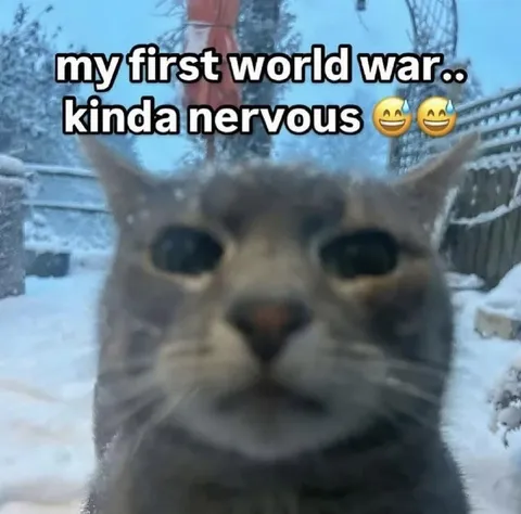 My First World War